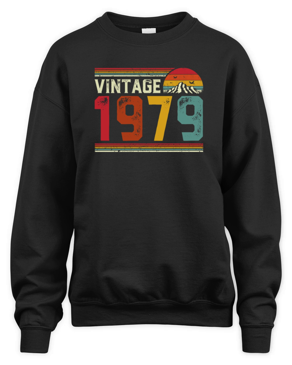 Vintage 1979 42 Years Old 42nd Birthday Gift Unisex Premium Crewneck Sweatshirt