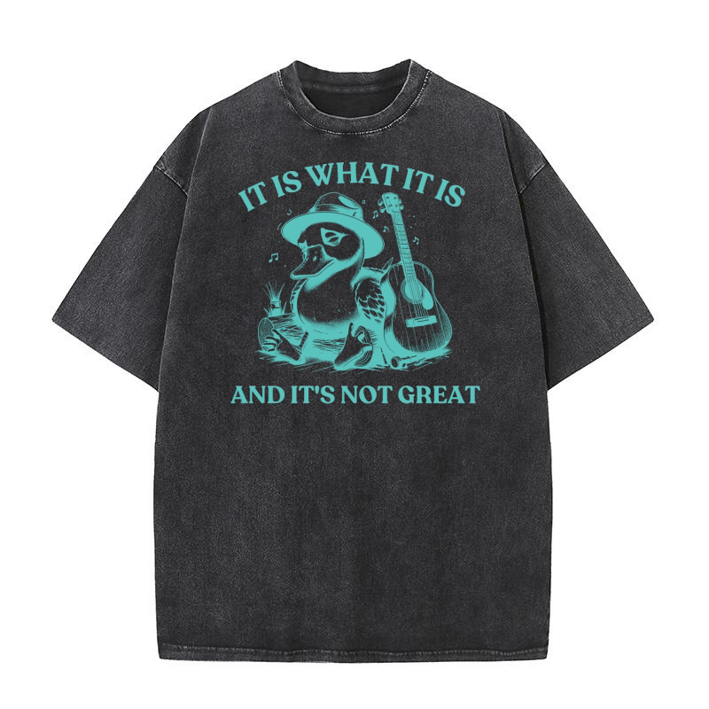 It is What It is And Its Not great 21 Washed T-Shirt