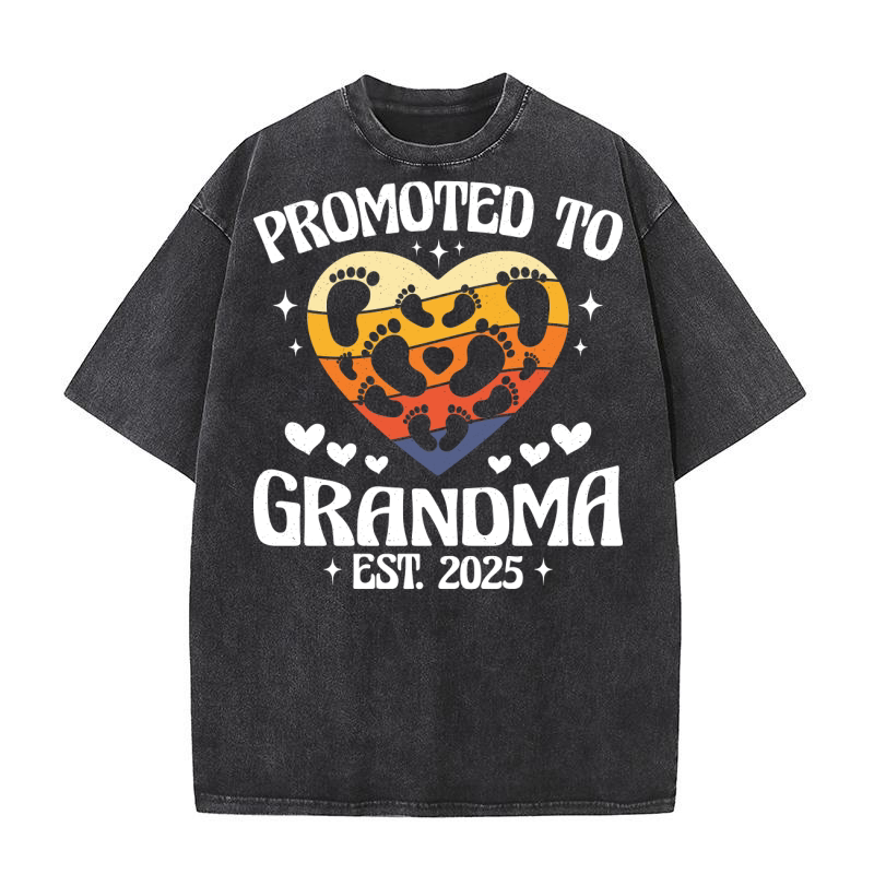 Promoted To Grandma EST. 2025 Washed T-Shirt