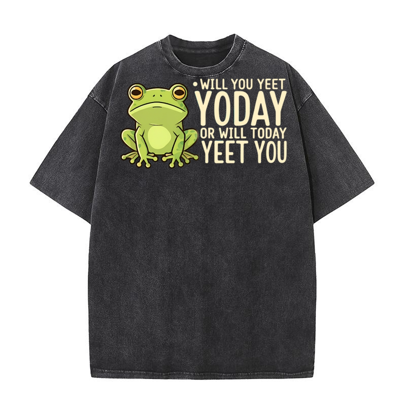 Will You Yeet Yoday Or Will Today Yeet You Washed T-Shirt