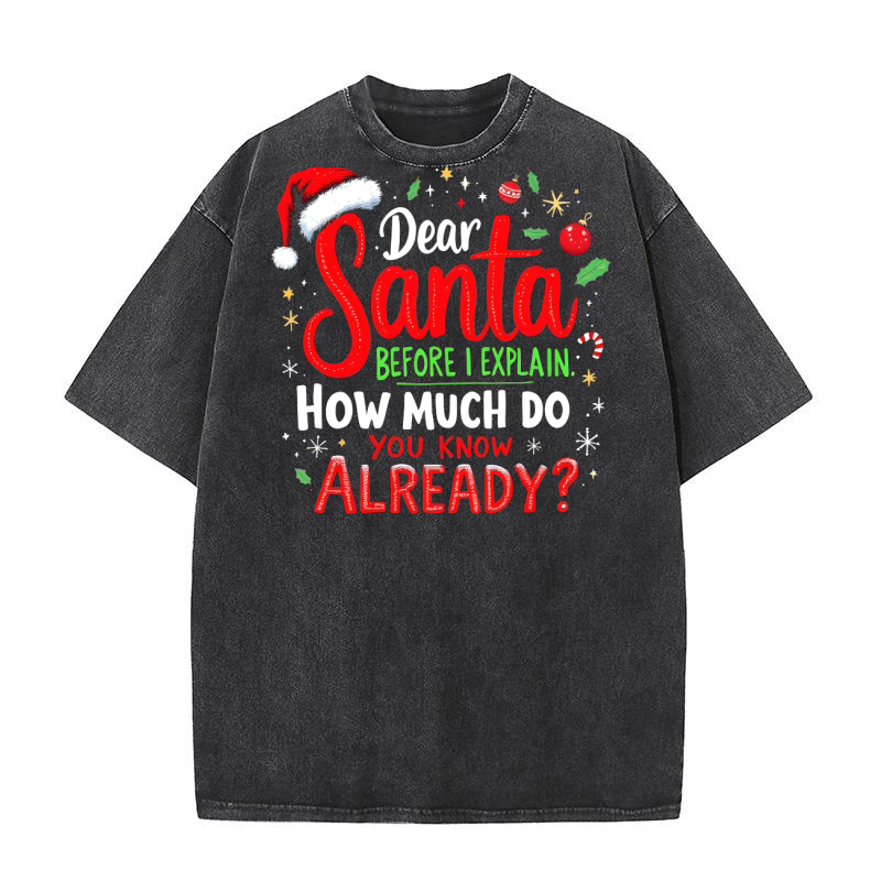 Dear santa before i explain how much do you know already Washed T-Shirt