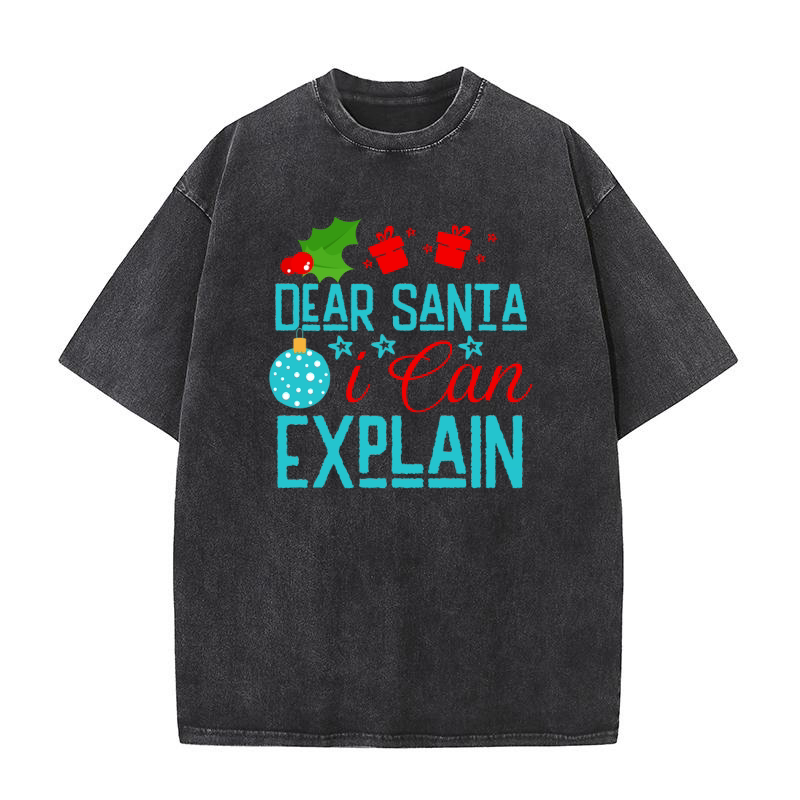 Dear Santa i Can Explain Washed T-Shirt
