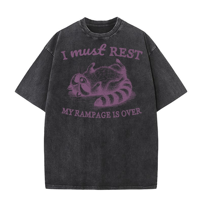 Raccoon weird sleeping L Purple Washed T-Shirt