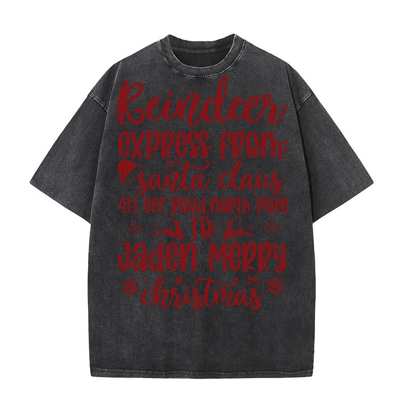 Reindeer express from santa claus Washed T-Shirt