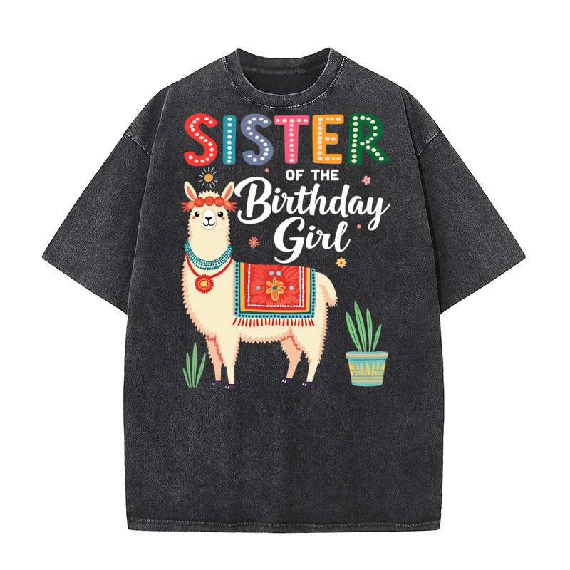 Sister of the birthday girl Washed T-Shirt