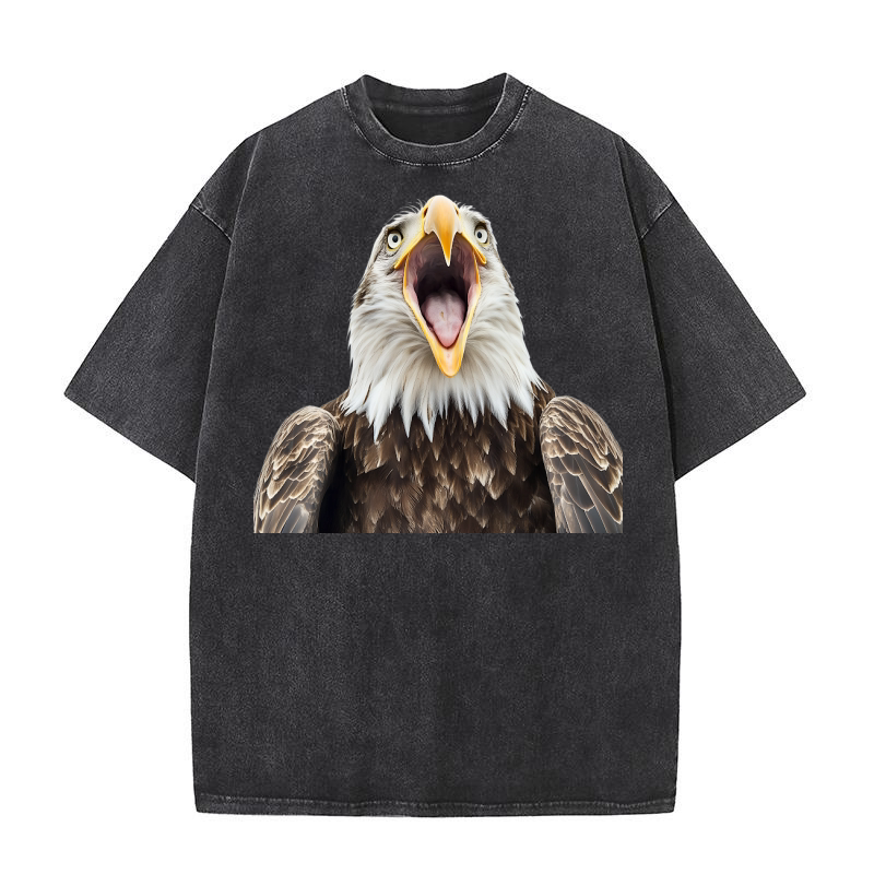 Three Eagle 03 Washed T-Shirt