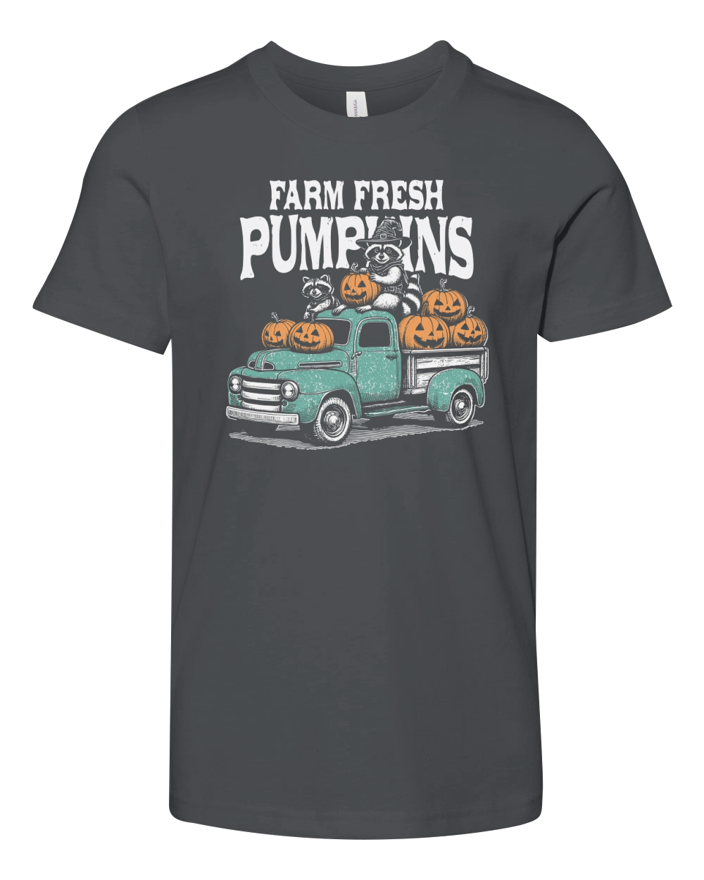 Farm fresh pumpkins Raccoon D Color Youth Unisex Jersey Tee