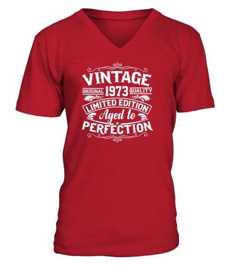 Vintage original 1973 quality limited edition aged to perfection V-Neck T-shirt