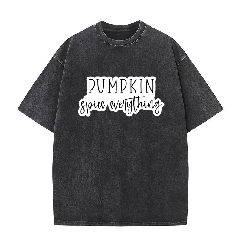 Pumpkin Spice Everything Washed T-Shirt