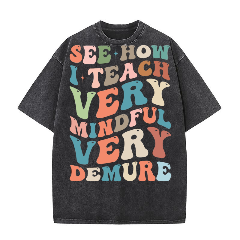 See How I Teach Very Mindful Very Demure 1 Washed T-Shirt
