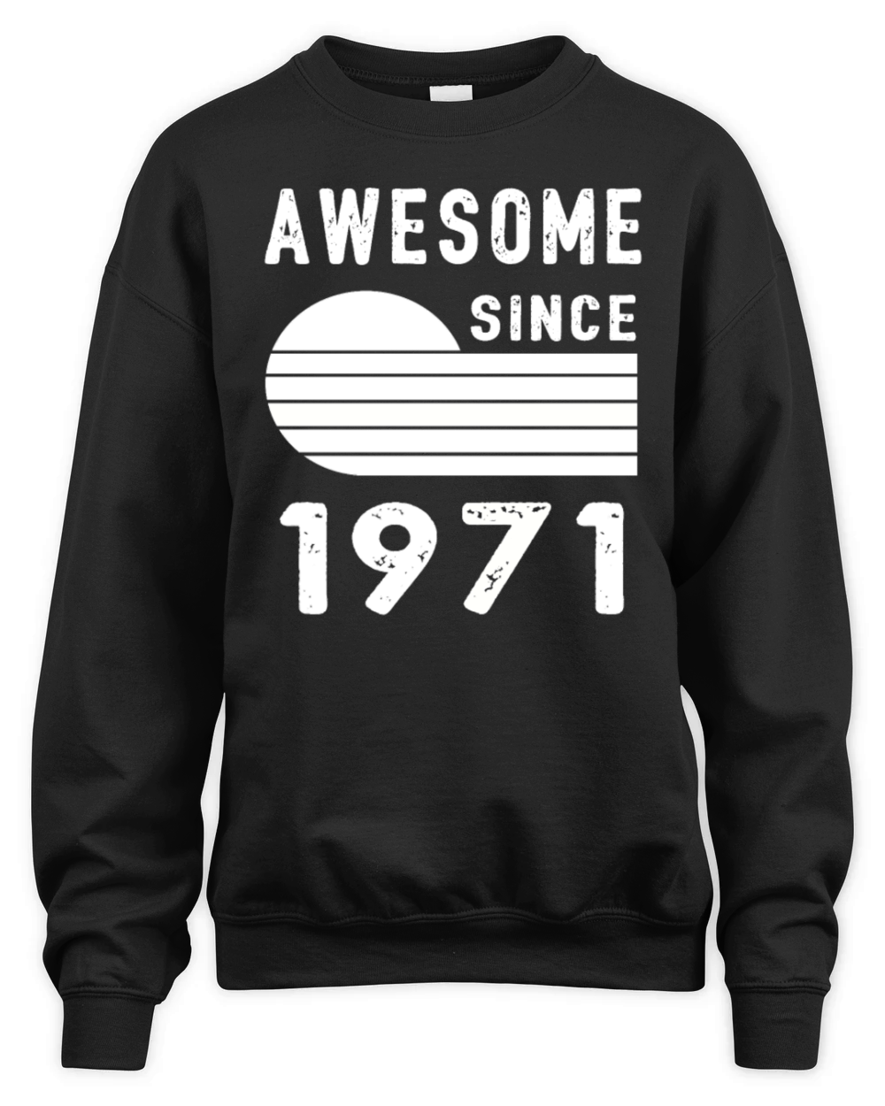 1971 Birthday Retro Vintage Gift dad Unisex Premium Crewneck Sweatshirt