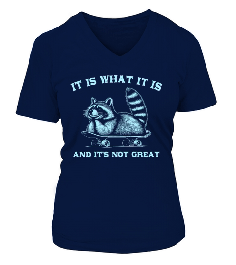 It Is What It Is And Its Not Great D Sky V-neck T-Shirt Woman