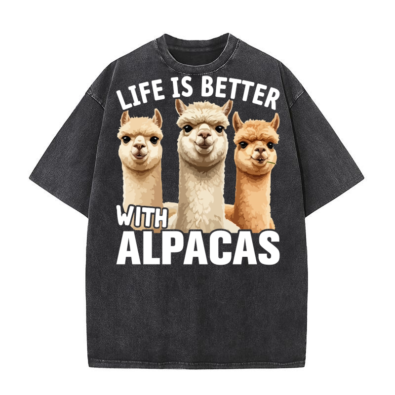 LLama 4 07 Washed T-Shirt