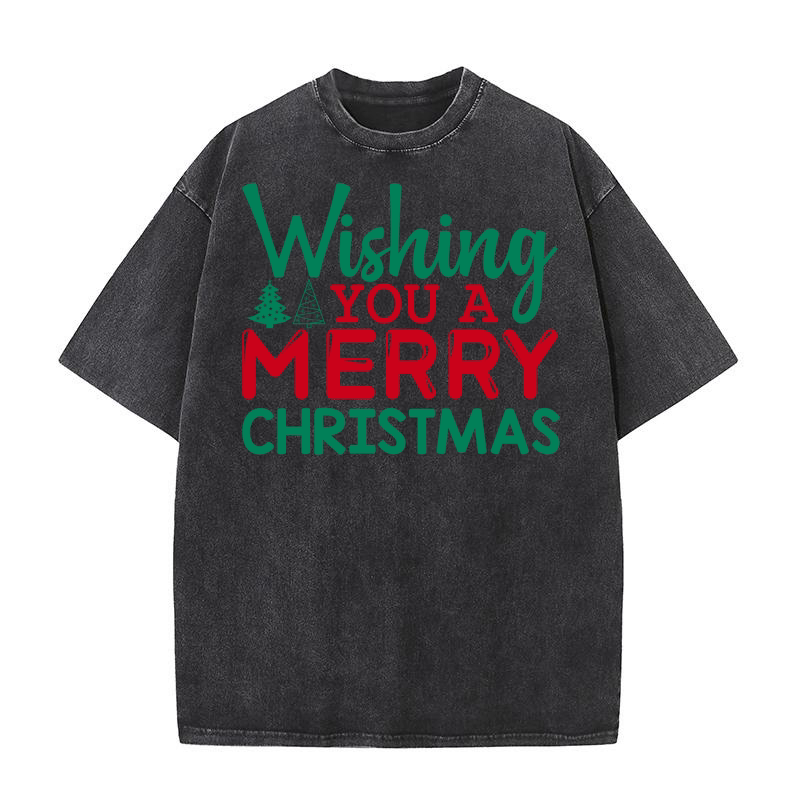 Wishing you a merry christmas 2 Washed T-Shirt