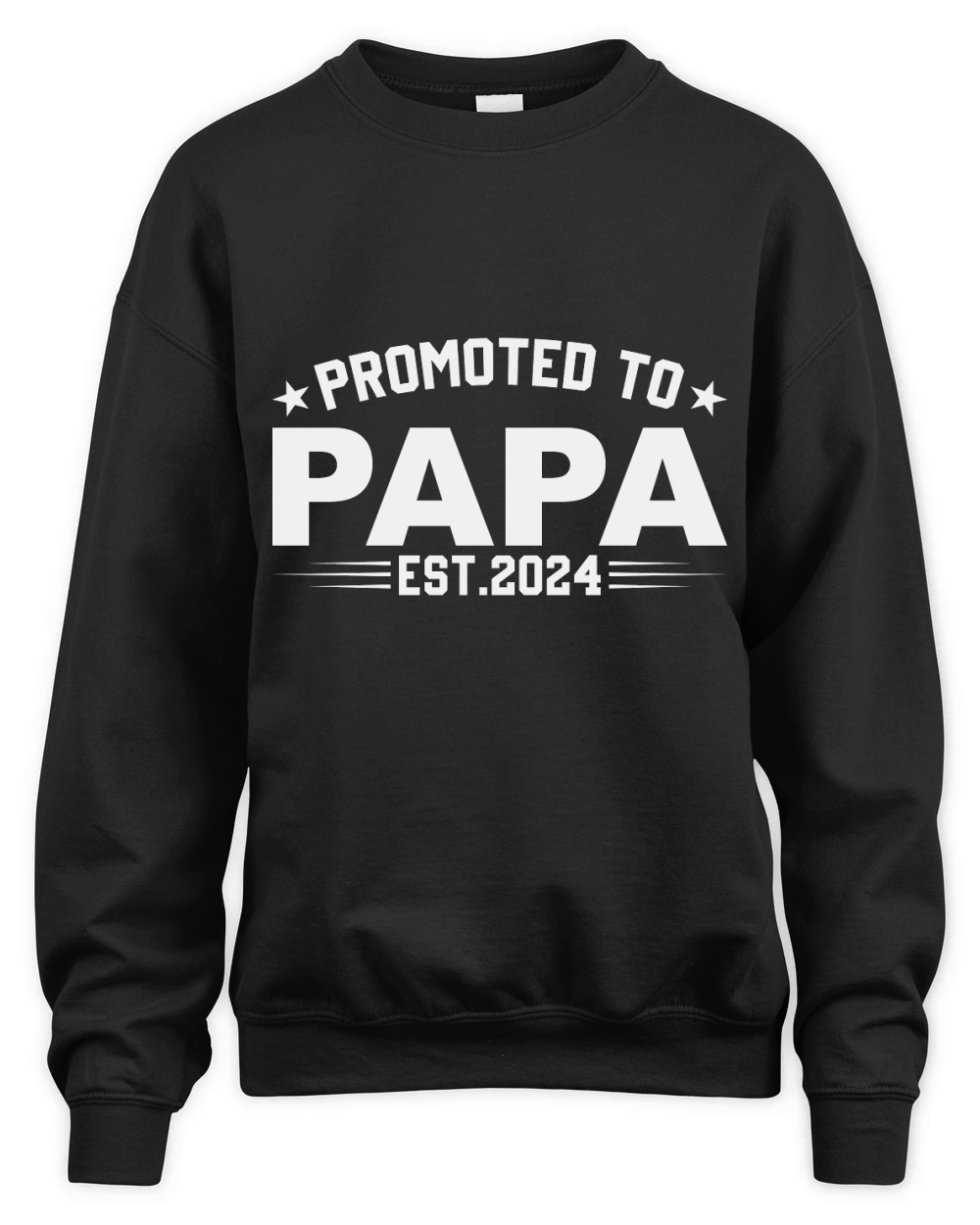 Promoted to papa est.2024 Unisex Premium Crewneck Sweatshirt