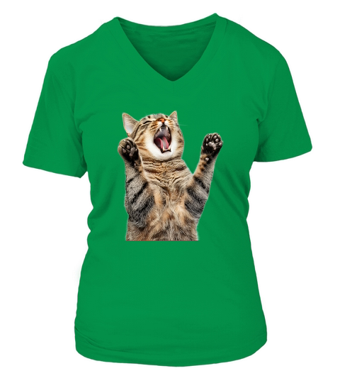 Three Tabby Cat V-neck T-Shirt Woman