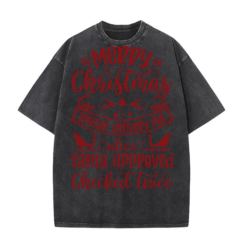 Merry christmas special delivery for Alice Washed T-Shirt