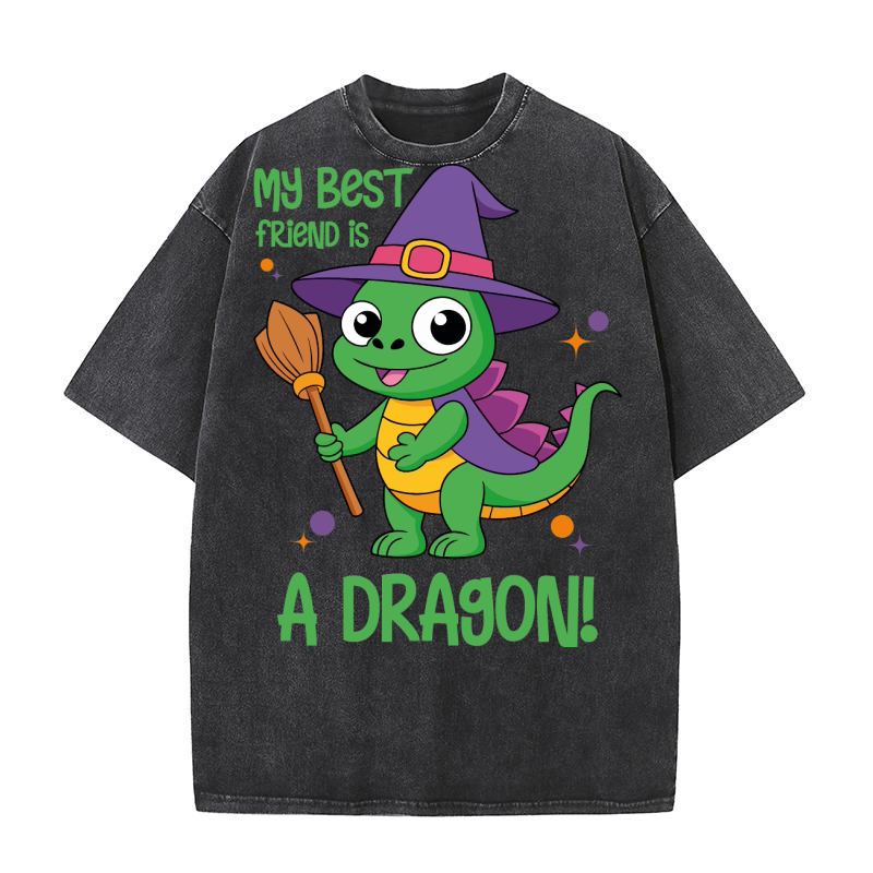 My best friend is a dragon! Washed T-Shirt