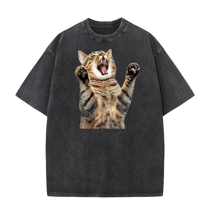 Three Tabby Cat Washed T-Shirt