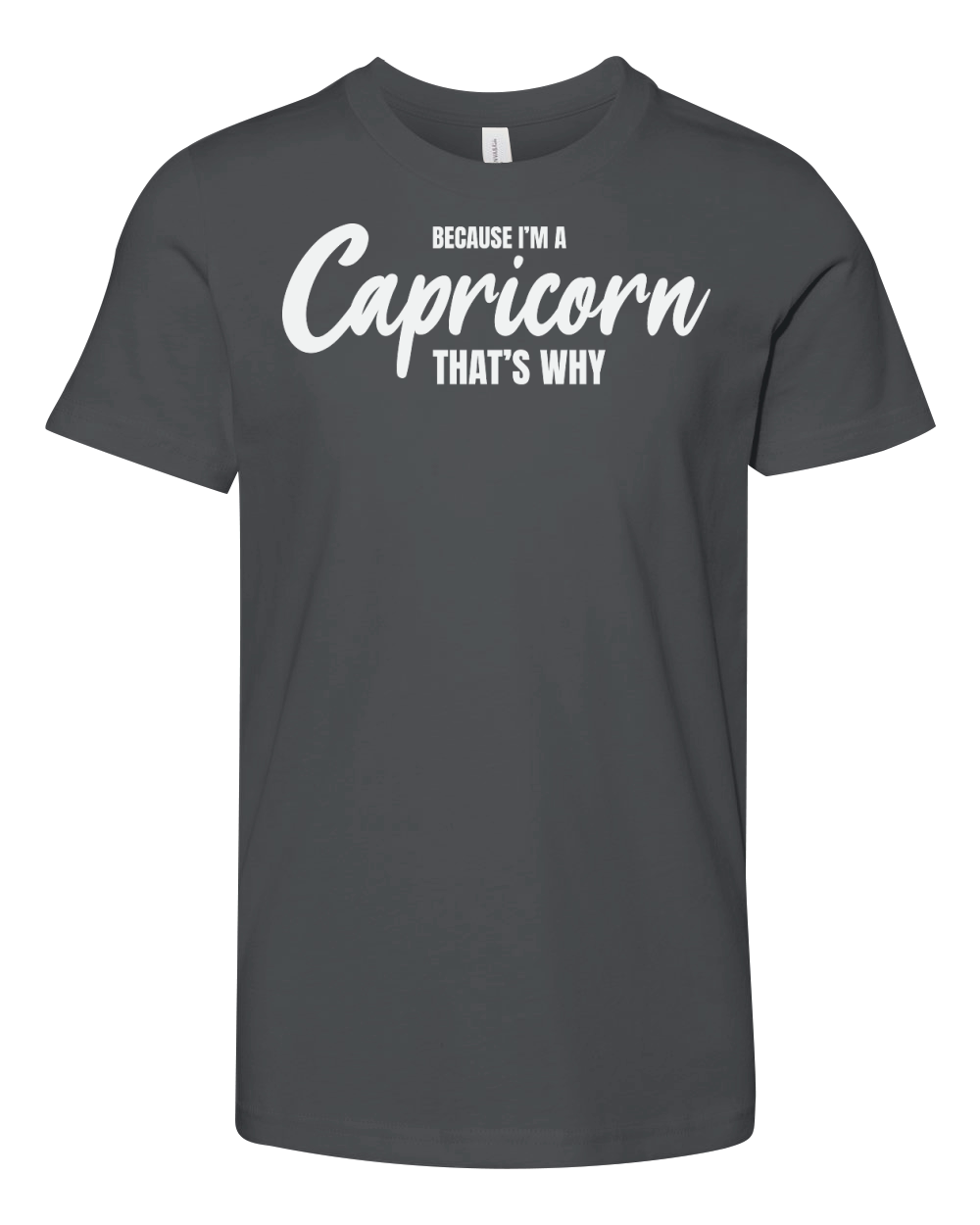 because im a capricorn thats why Youth Unisex Jersey Tee