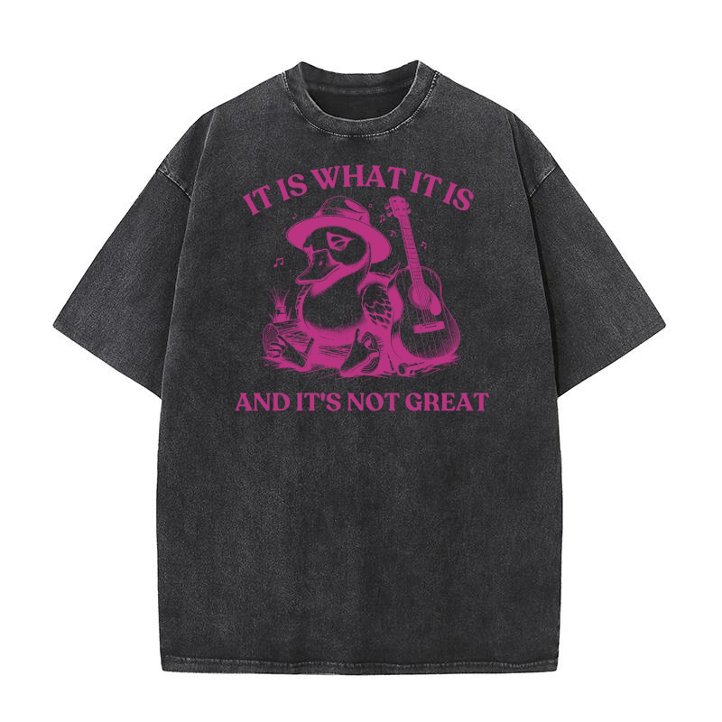 It is What It is And Its Not great 18 Washed T-Shirt