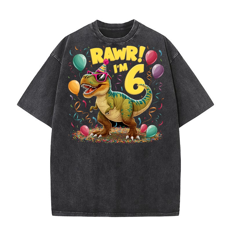 Rawr Im 6 Dinosaur Washed T-Shirt