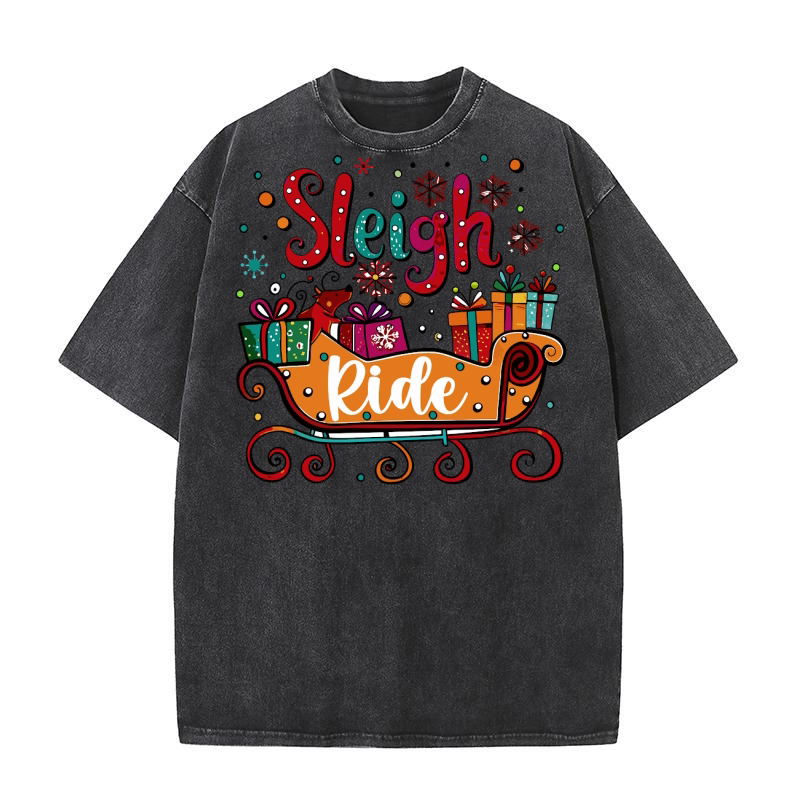 sleigh ride Washed T-Shirt