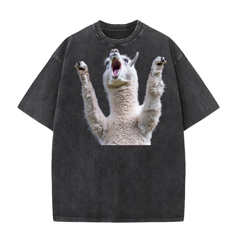 Three Alpaca Moon Weird Cursed 04 Washed T-Shirt