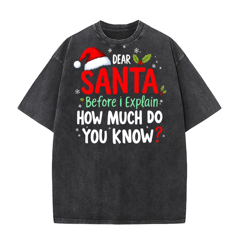 Dear santa before i explain how much do you know Washed T-Shirt
