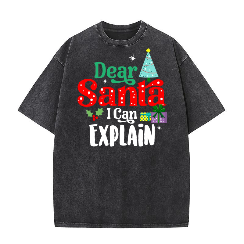 Dear Santa, I Can Explain Washed T-Shirt