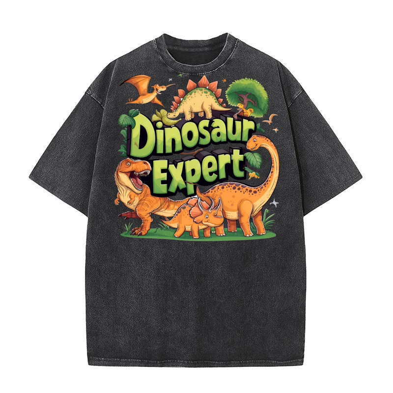 Dinosaur Expert 2 Washed T-Shirt
