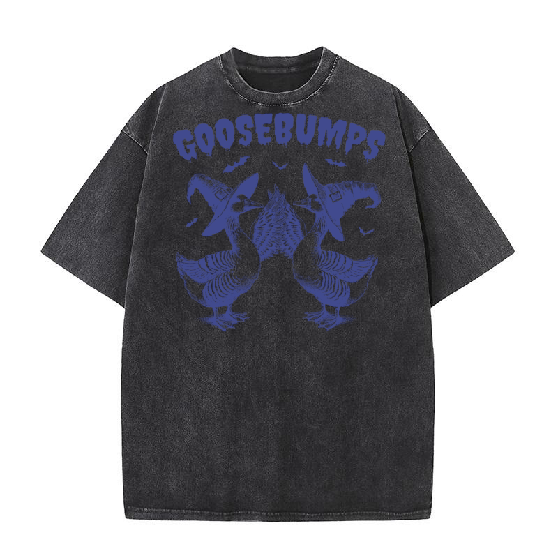 Goosebumps Halloween Witch Goose L vBlue Washed T-Shirt