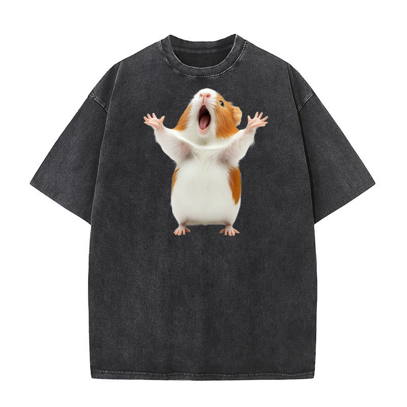 Guinea Pig (2) Washed T-Shirt