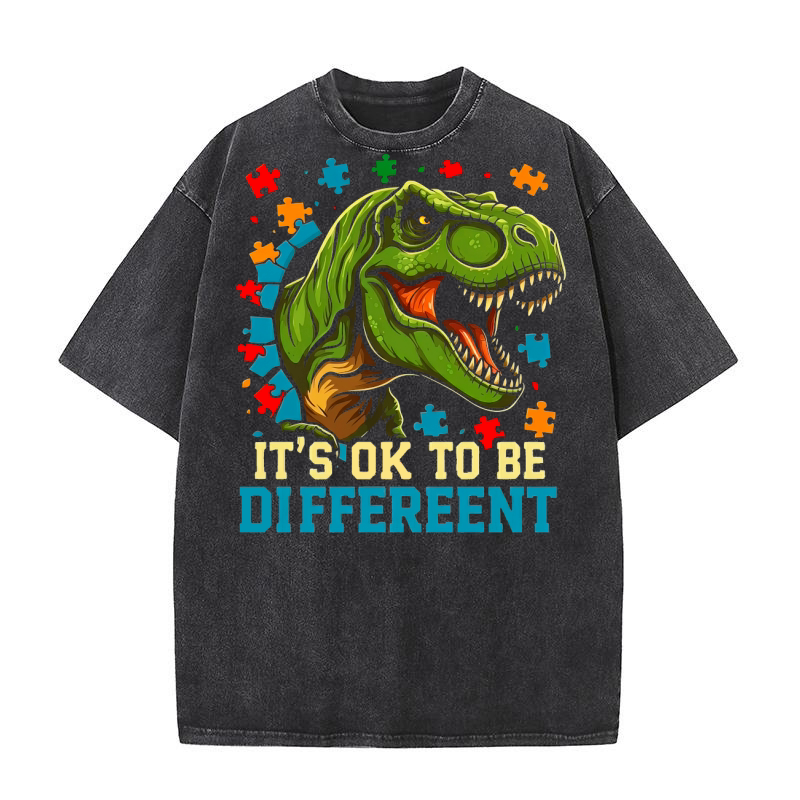Its ok To Be Differeent 02 Washed T-Shirt