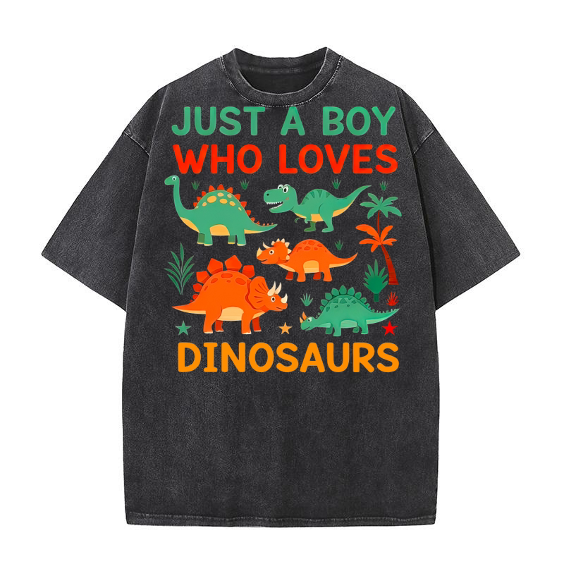 Just a boy who loves dinosaurs Washed T-Shirt