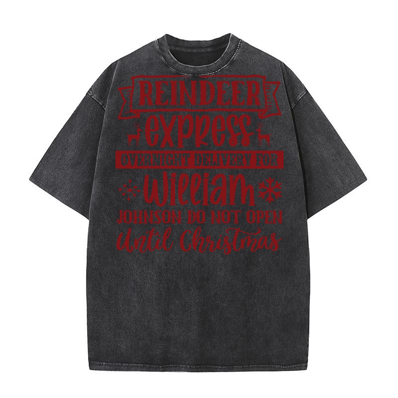 Reindeer express overnight delivery for William Washed T-Shirt