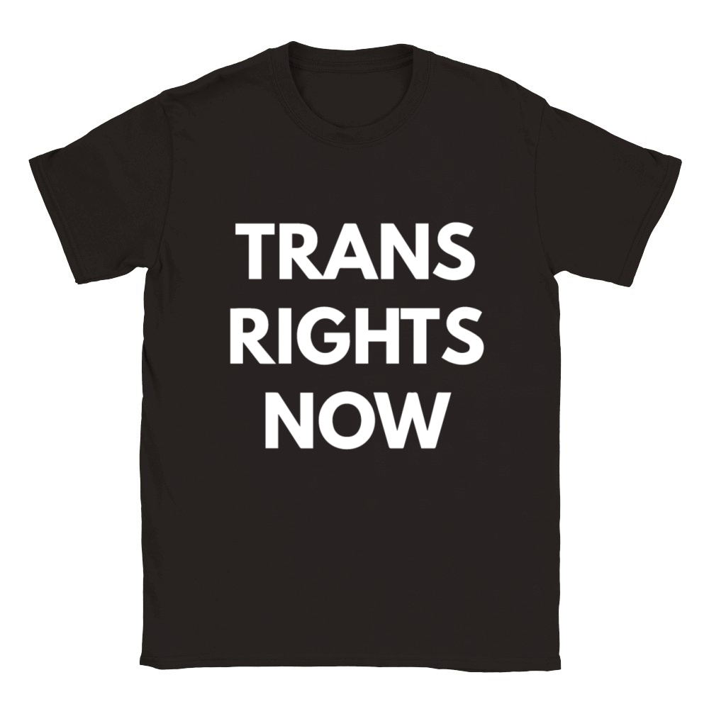 Trans Rights Now Classic Kids Crewneck T-shirt