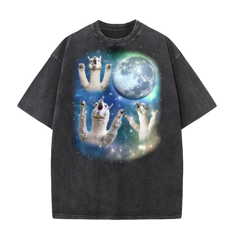Three Alpaca Moon Weird Cursed 05 Washed T-Shirt