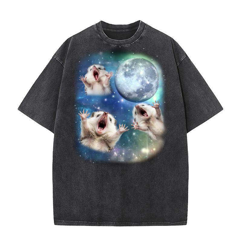 Three Hedgehog Moon Weird Cursed Washed T-Shirt