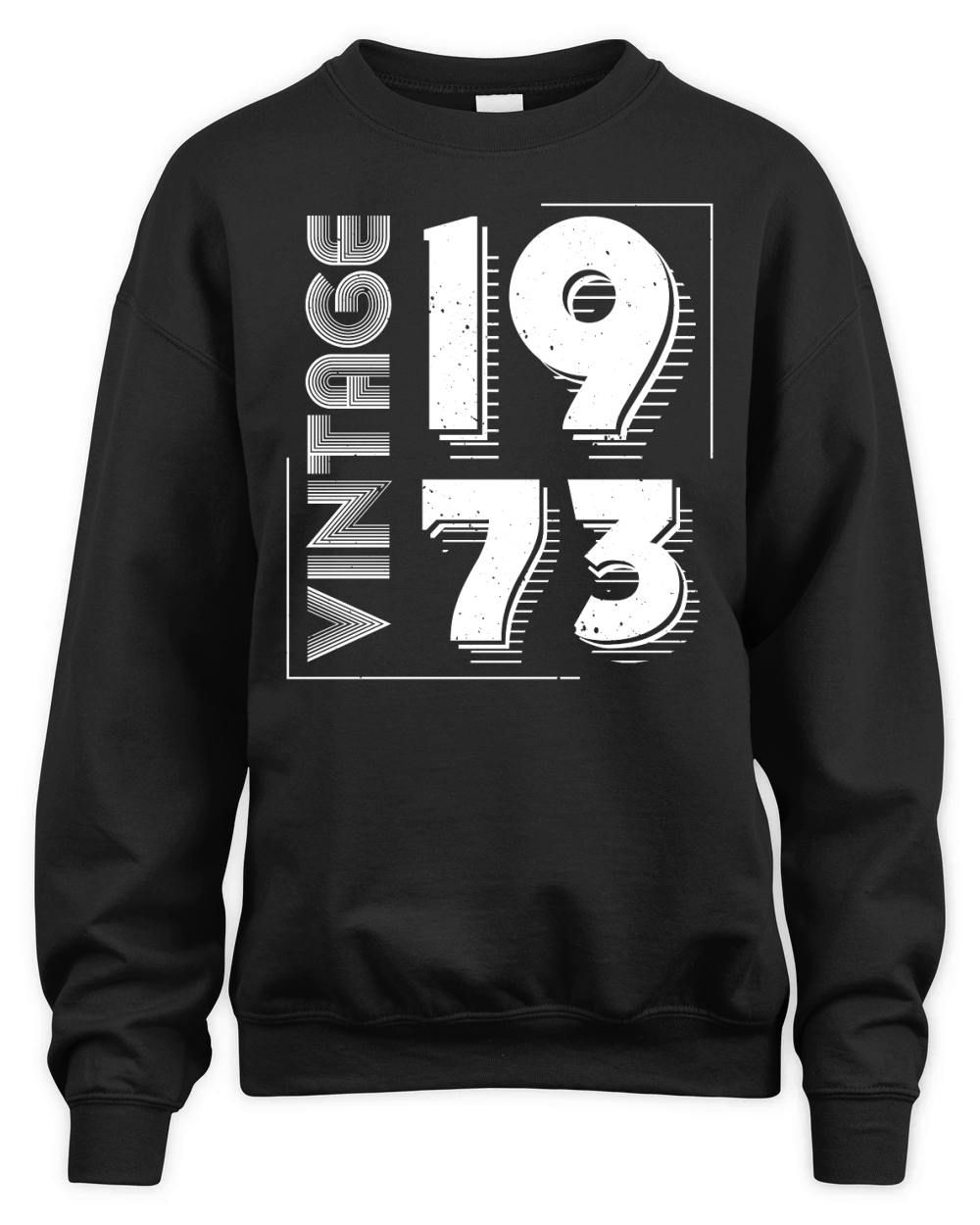 Vintage 1973 Limited Edition Birthday (2) Unisex Premium Crewneck Sweatshirt
