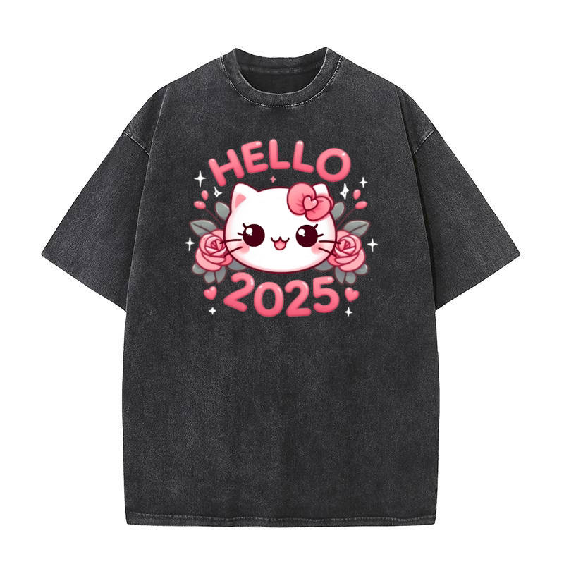 hello 2025 kitty Washed T-Shirt