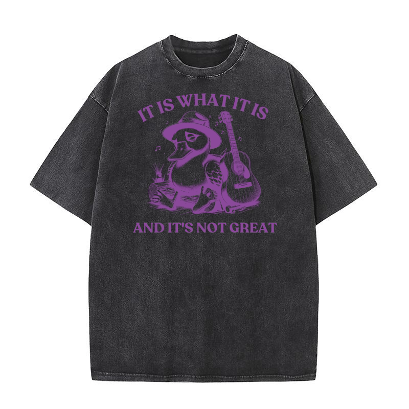 It is What It is And Its Not great 19 Washed T-Shirt