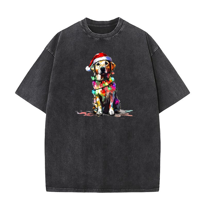 puppy in lights 3 Washed T-Shirt
