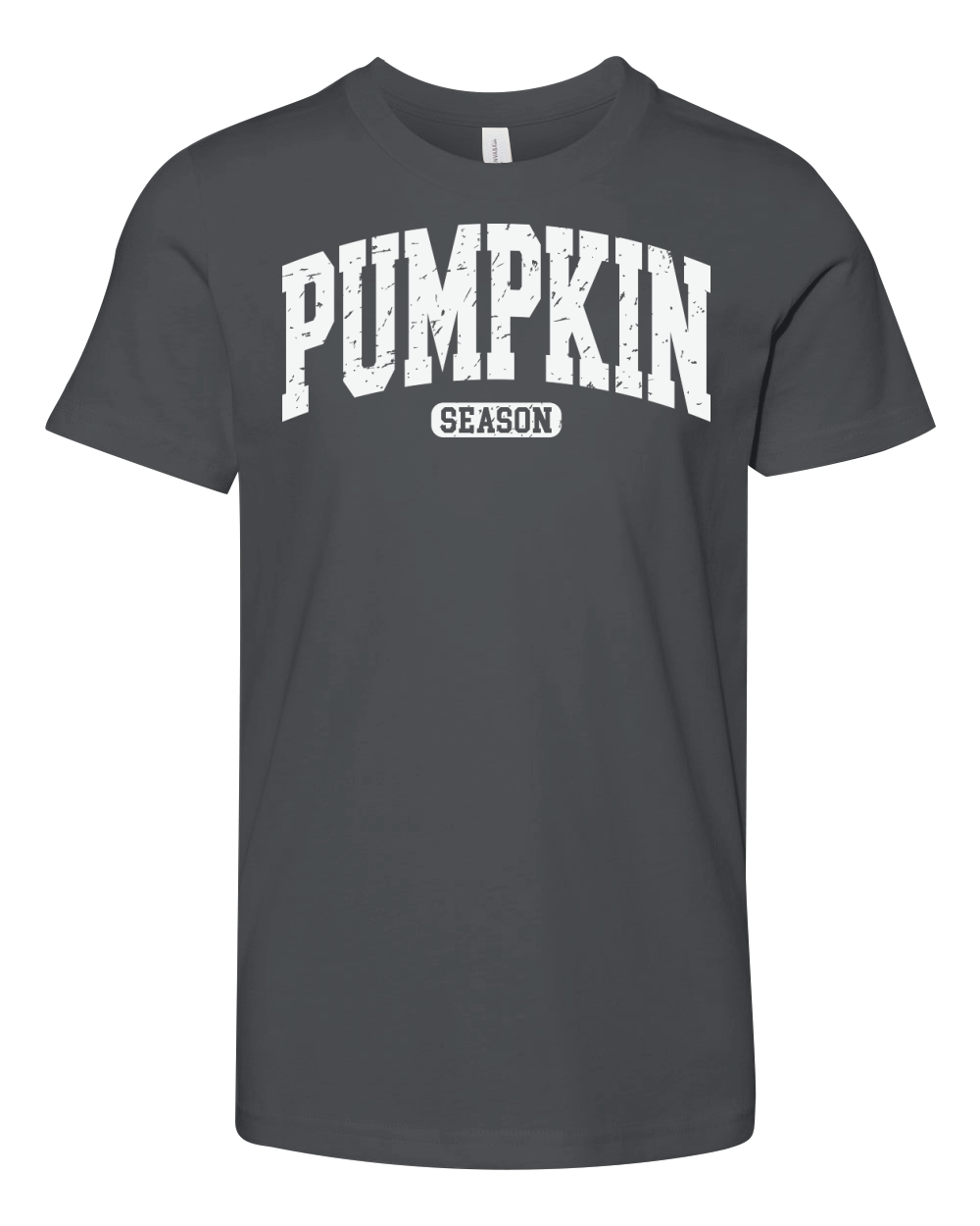 PumpkinSeasonVarsity1  Retro Youth Unisex Jersey Tee