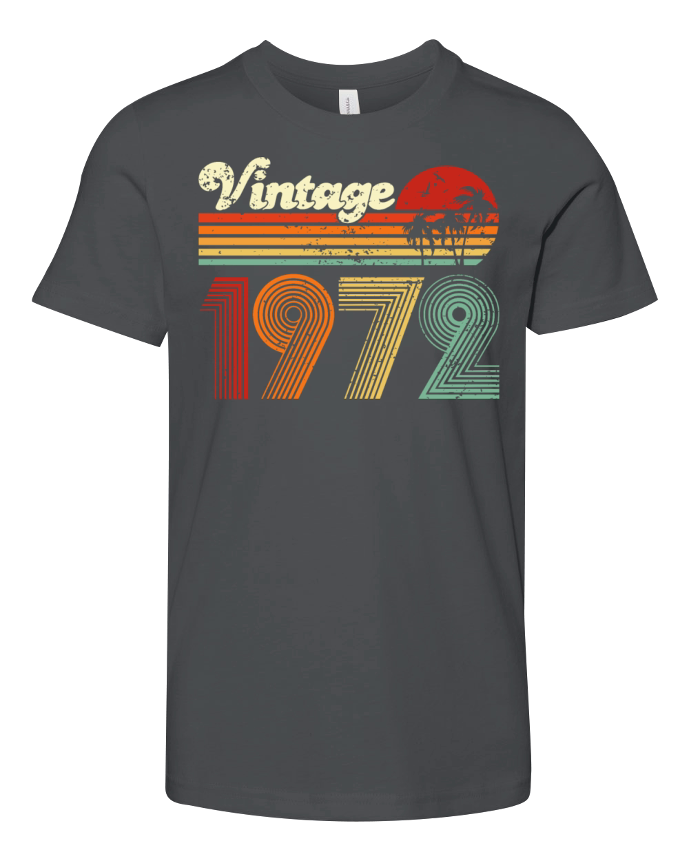 Vintage 1972 50th Birthday Fiftieth Gift men woman Youth Unisex Jersey Tee