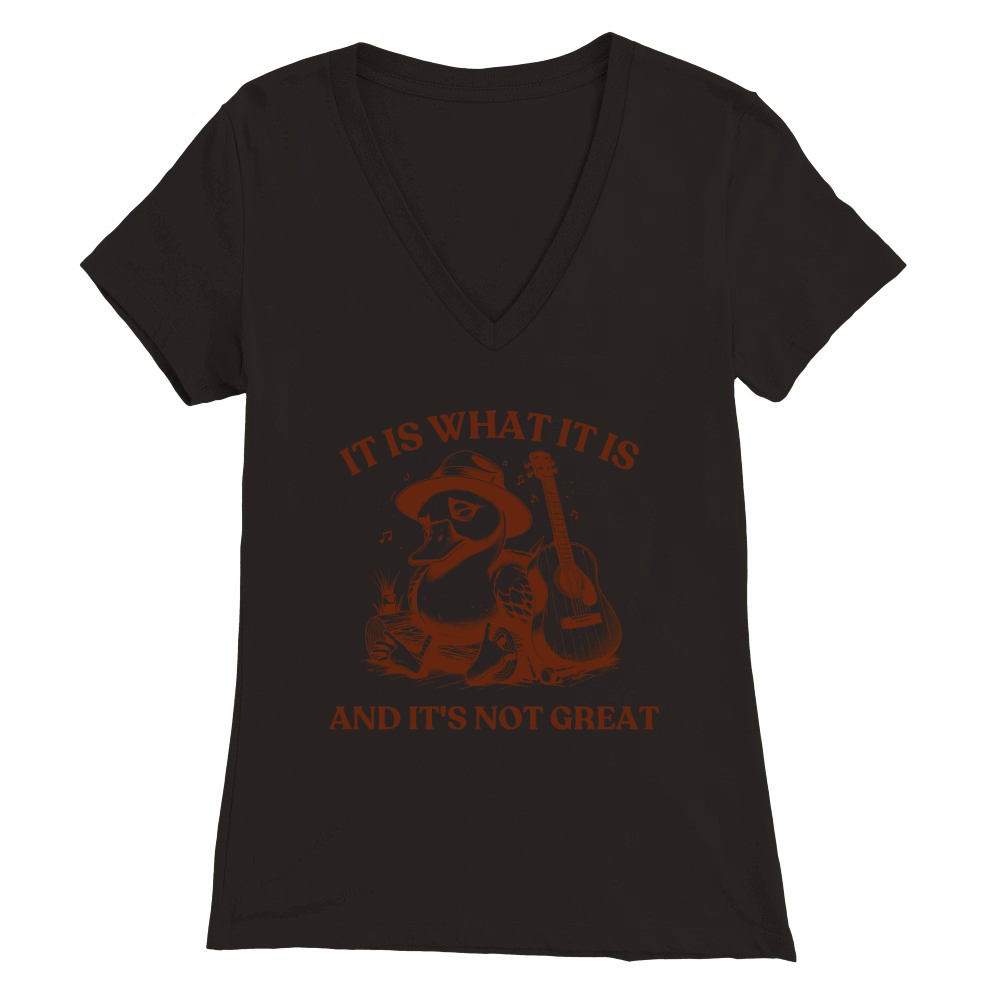 It is What It is And Its Not great 17 Premium Womens V-Neck T-shirt