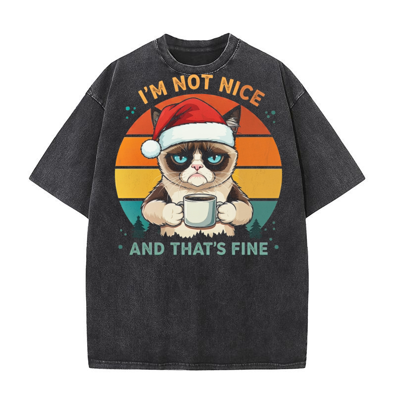 Im Not Nice And Thats Fine Grumpy Cat Washed T-Shirt