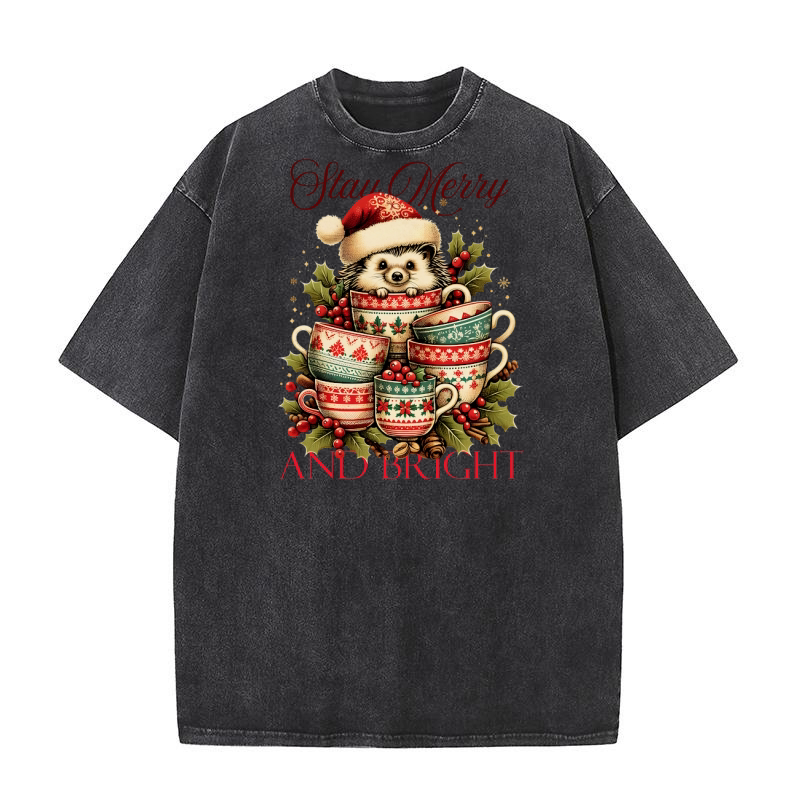 Stay Merry and Bright Washed T-Shirt