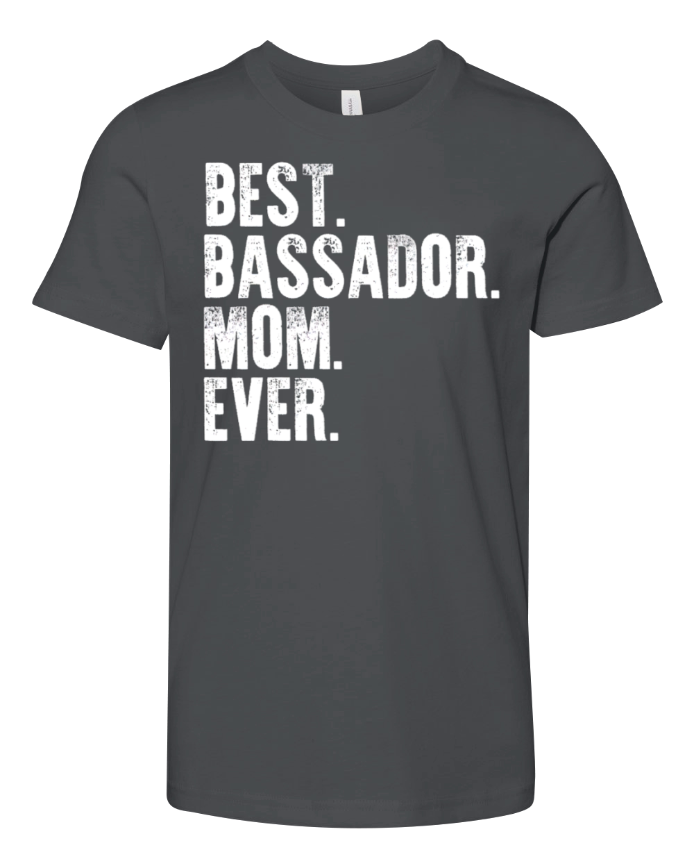 Best Bassador Mom Ever Funny Vintage Dog Mother Da Youth Unisex Jersey Tee