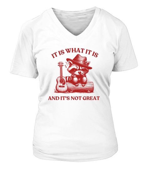 It is What It is And Its Not creat V-neck T-Shirt Woman